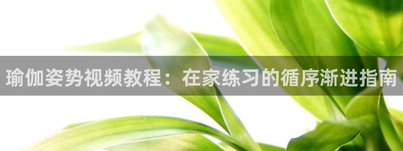 欧洲杯竞猜手机app推荐