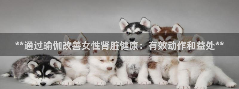 欧洲杯投注官方网站