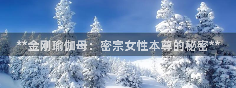 欧洲杯押注