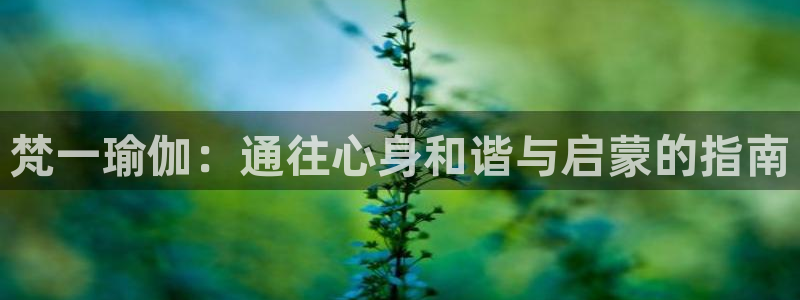 welcome欧洲杯官网