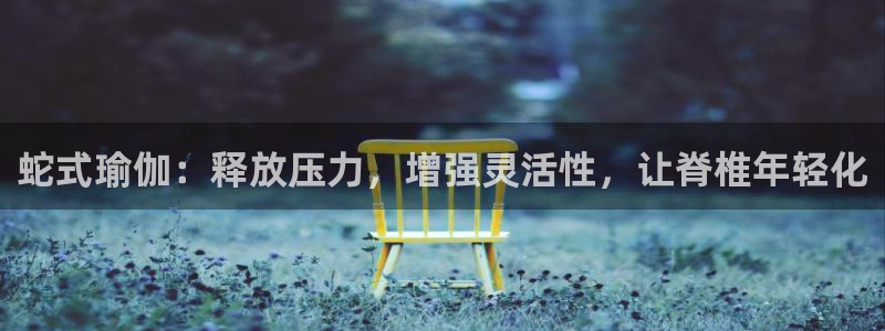 欧洲杯靠谱买球平台
