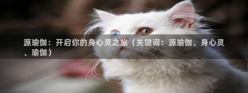 欧洲杯可以买冠亚军吗