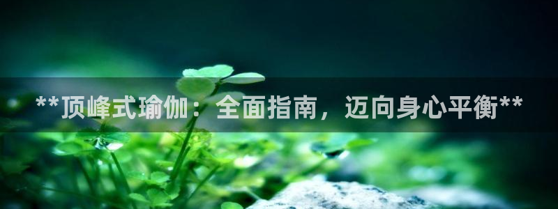 欧洲杯买球手机app