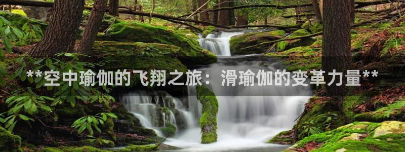 欧洲杯下单平台官方网站