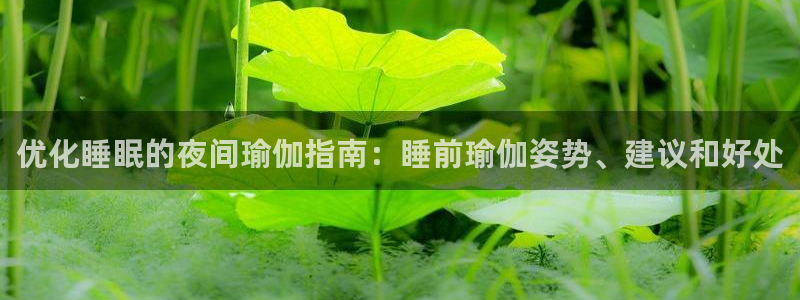 十大靠谱外围买球网站