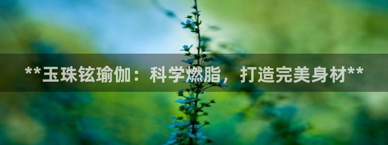 欧洲杯买足球软件
