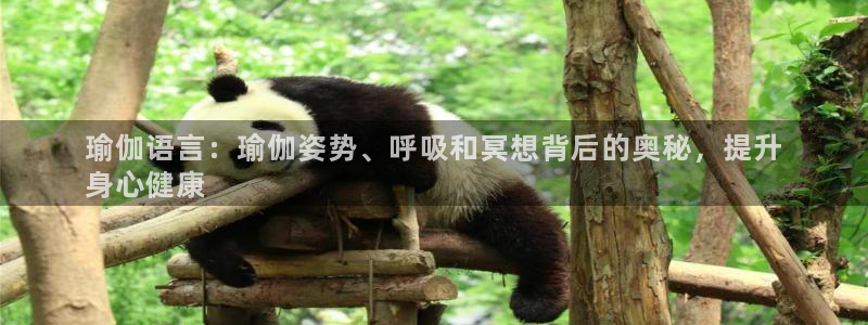 欧洲杯可以买冠亚军吗