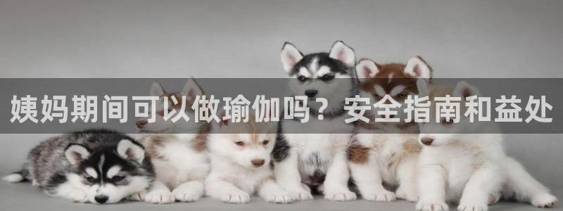 放心购买足球平台