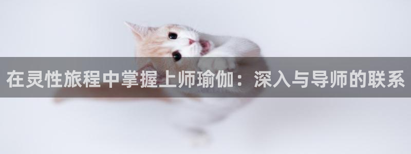 欧洲杯可以买冠亚军吗