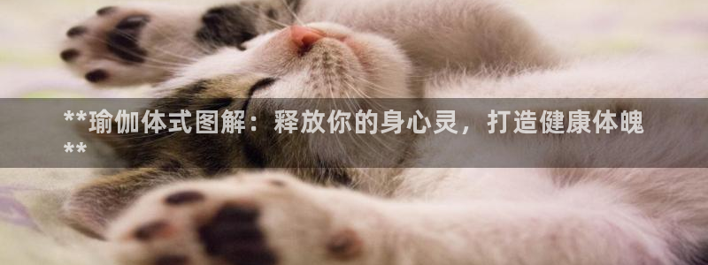 欧洲杯竞猜网站