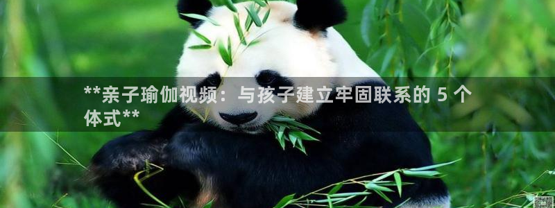 welcome欧洲杯官网