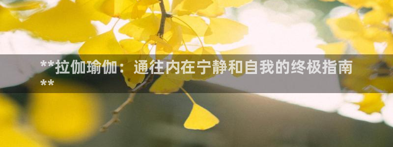 欧洲杯哪里买球靠谱
