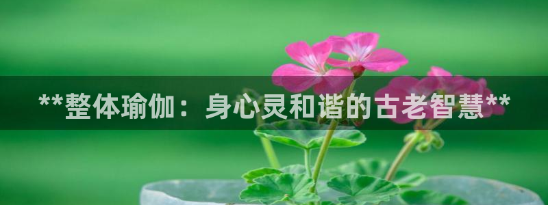 2024欧洲杯全部赛程
