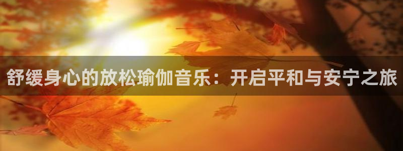 欧洲杯投注入口官网