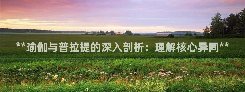 欧洲杯买足球软件