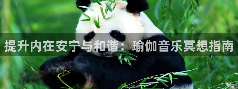 欧洲杯下单网址