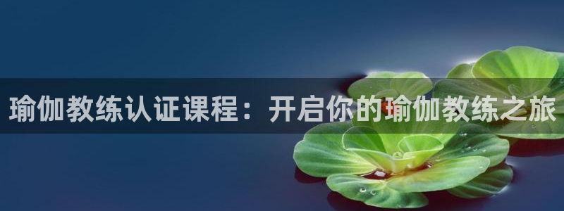欧洲杯押注怎么买