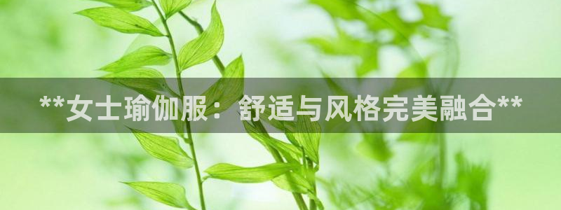 欧洲杯在哪个网站购买