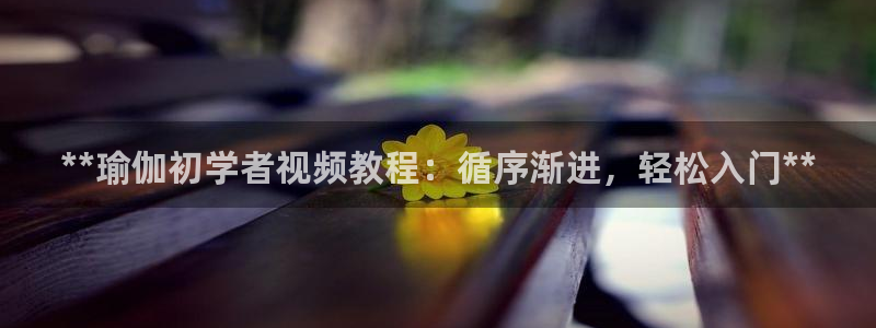 2024欧洲杯买竞猜