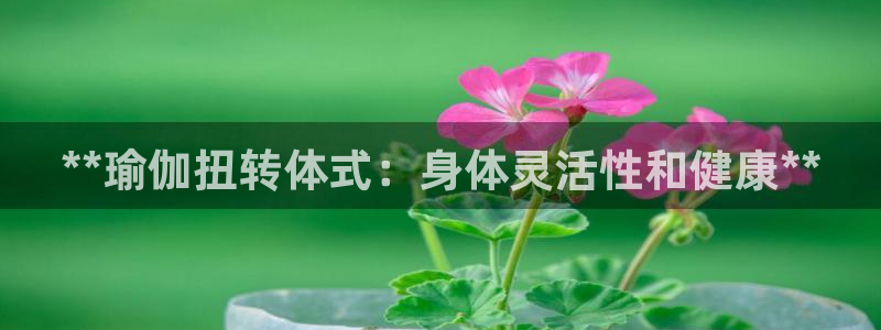 足球赌注平台app