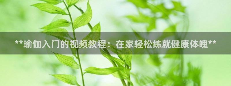 网上哪个平台可以买足球