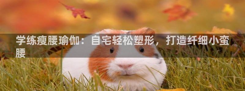 欧洲杯投注推荐网站