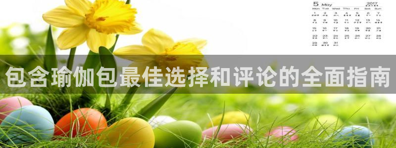 欧洲杯哪里买球靠谱