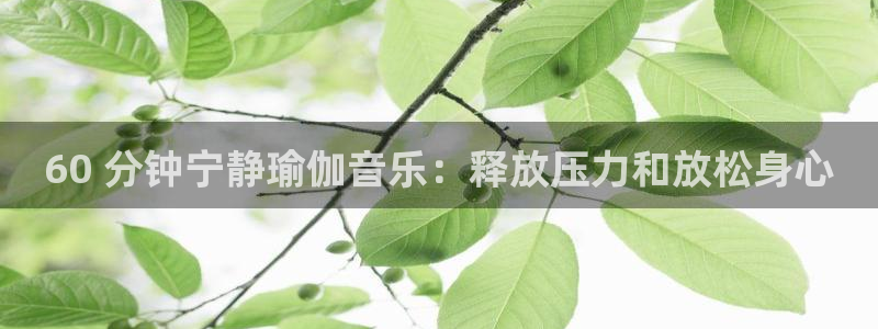 2024欧洲杯押注官网