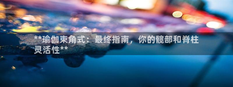 欧洲杯下赌注平台