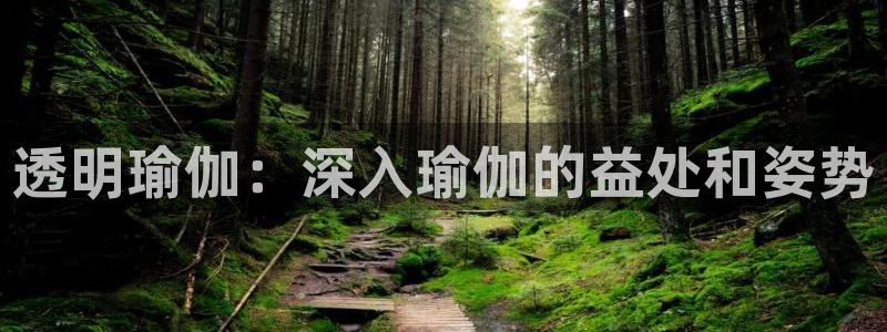 欧洲杯哪里买球靠谱