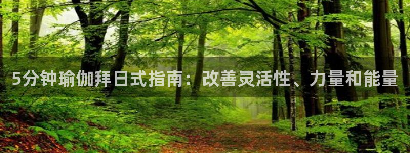 欧洲杯哪里买球靠谱