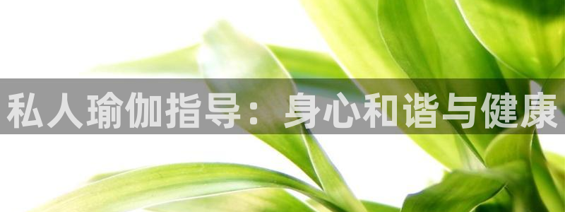 欧洲杯买足球软件有哪些