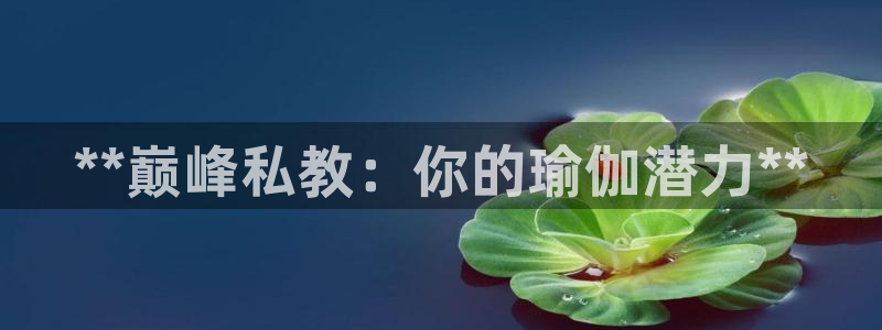 十大靠谱外围买球网站