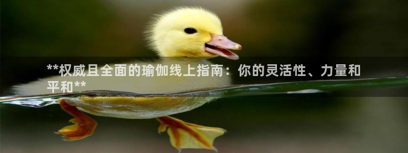 欧洲杯下单平台官网