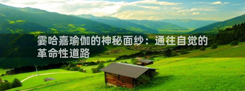 2024欧洲杯竞猜网址