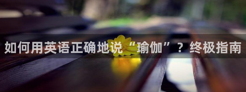 欧洲杯哪里买球靠谱