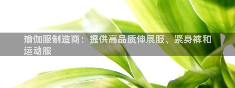 2024欧洲杯押注官网