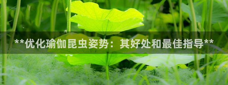 欧洲杯竞猜网站
