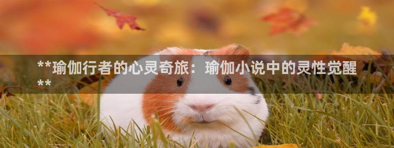欧洲杯投注入口官网