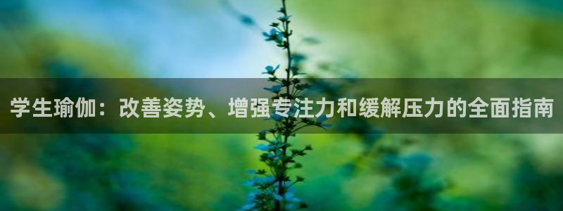 欧洲杯在哪个网站购买