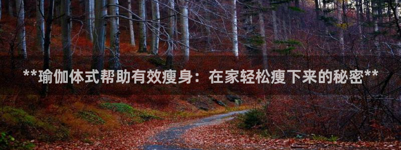 怎么买欧洲杯