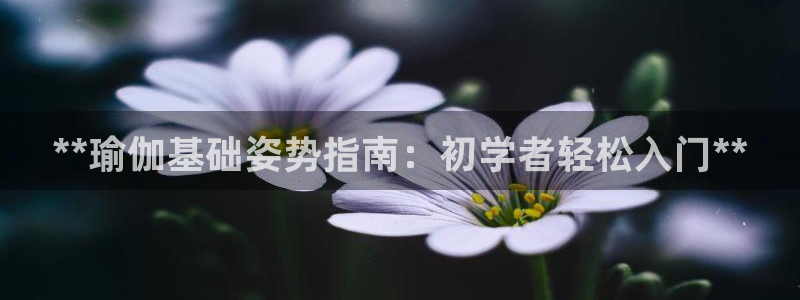 欧洲杯竞猜软件