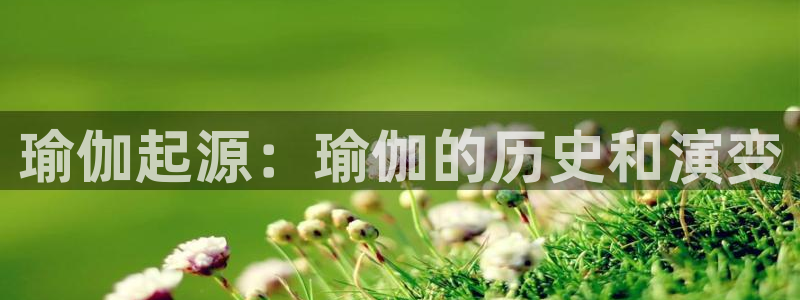 2024欧洲杯官方网站首页