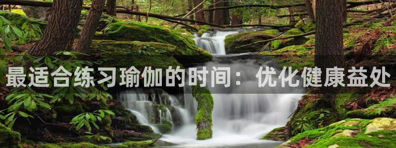 买球平台官方网站