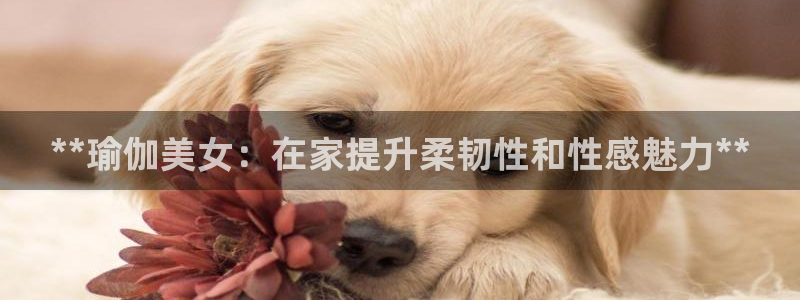 welcome欧洲杯官网