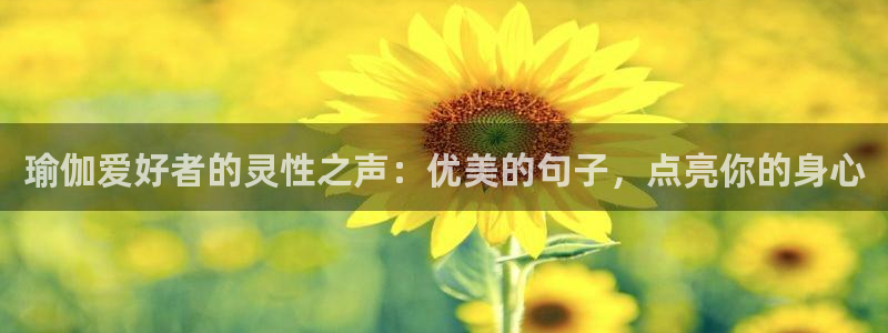 欧洲杯彩票哪里买