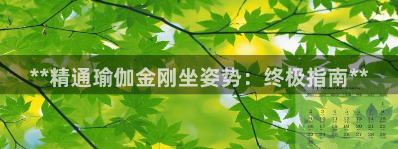 2024欧洲杯全部赛程