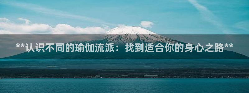 2024欧洲杯官方网站首页