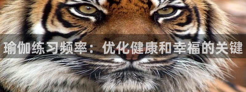 2024欧洲杯买球推荐