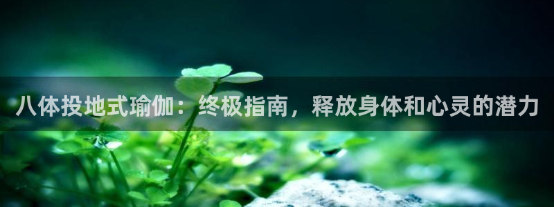 2024欧洲杯买球手机版